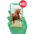 Icon of program: Horse Wallpaper Free Down…