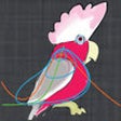 Icon of program: XPP