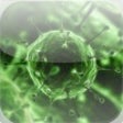 Icon of program: HIV & AIDS Terms - A Comp…