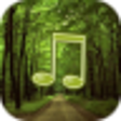 Icon of program: Forest Sounds Nature To S…