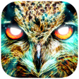 Icon of program: Spirit Animal Oracle Card…