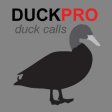 Icon of program: Duck Calls and Duck Sound…