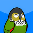Too Many Birds! icon