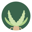 Aloe Bud icon