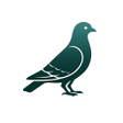 Icon of program: Birdex