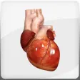 Icon of program: HeartMate 3 LVAD AR app