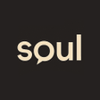 Icon of program: DigitalSoul - AI Chat Rol…