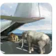 Icon of program: Wild Animal Cargo Plane T…