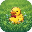 Icono de programa: Ducky Slide Match
