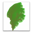 Icon of program: L-Systems Explorer - Free