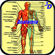 Icono de programa: Human Anatomy in 3D. The …