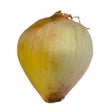 Icon of program: Onion
