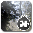 Icon of program: Lightning Bug - Forest Pa…