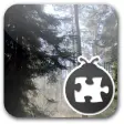 Icon of program: Lightning Bug - Forest Pa…
