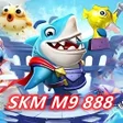 SKM M9 888 icon