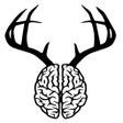 Icon of program: DeerBrain