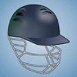 Icon of program: Flick Cricket 2