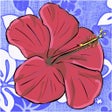 Icon of program: Hawaiian Words - Translat…