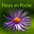 Icon of program: Fleurs en poche