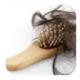 Icon of program: Hair Loss Prevention