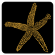 Icon of program: Oferenda Calendar 2014