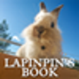 Lapinpin's Book for Windows 8 icon