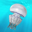 Icon of program: iMedJelly