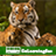 Icono de programa: Learn Zoology by GoLearni…