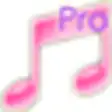 Icon of program: Power Audio Recorder Pro