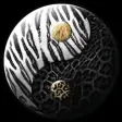 Icon of program: Black Jaguar White Tiger