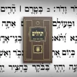 Icon of program: Tehillim Ohel Yosef Yitzc…