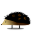 Icon of program: Project Hedgehog