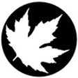 Icon of program: VMS for iPhone