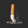 Icon of program: Quit Smoking --~
