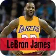 Icon of program: MVP LeBron James 2K20 Wal…