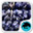 Icono de programa: Grapes Keyboard
