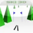 Icon of program: Ski 3D Free