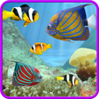 Icono de programa: Aquarium and fishes