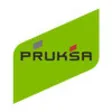 Icon of program: Pruksa Family