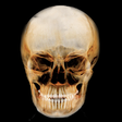 Dental Panoramic Radiology icon