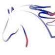 Icon of program: Cavanti
