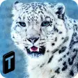 Icon of program: Forest Snow Leopard Sim