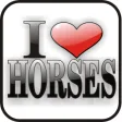 Icon of program: I Love Horses Doo-Dad