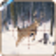 Icono de programa: Animals Hunting 2015
