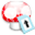 Icon of program: Wii Transfer