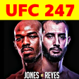 Icono de programa: UFC 247