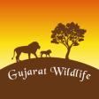 Icon of program: Gujarat Wildlife
