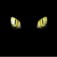 Icon of program: Background Video Recorder