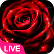 Icono de programa: Neon Red Rose Live Wallpa…