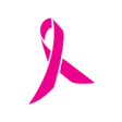 Icon of program: PA Breast Cancer Coalitio…